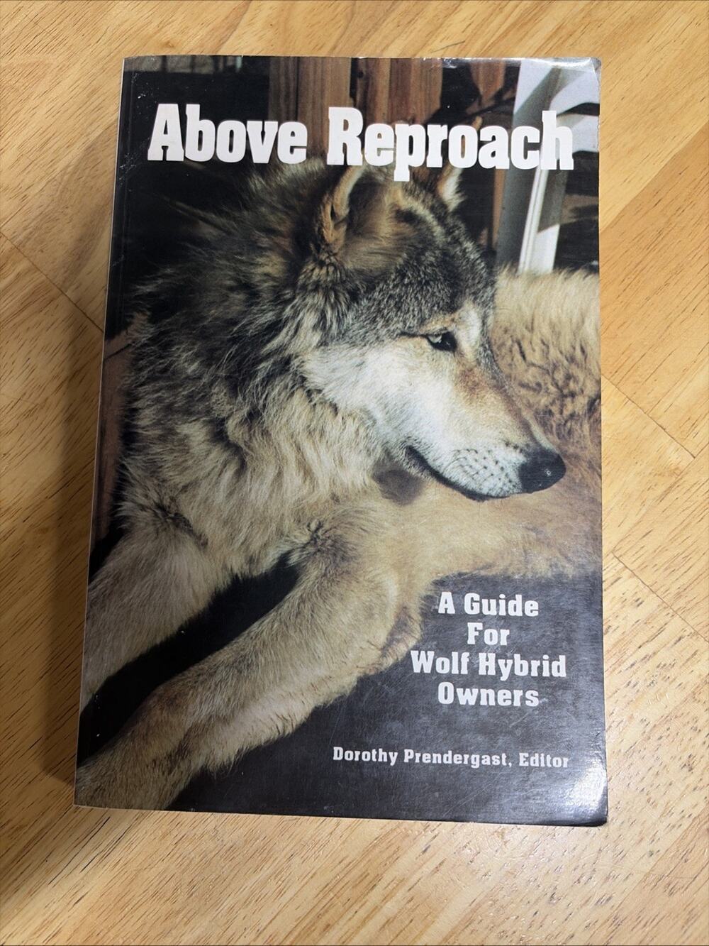 Above Reproach: A Guide for Wolf Hybrid Owners
